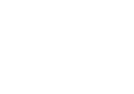 Maximise Clicks Online